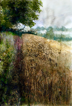 Field Near Blithfield, watercolour and mixed media, A4