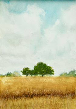 Field Near Blithfield, watercolour